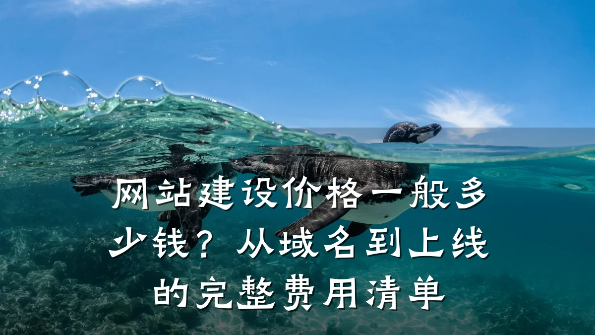 网站建设价格一般多少钱？从域名到上线的完整费用清单