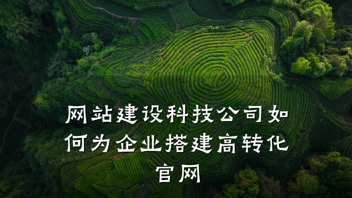 网站建设科技公司如何为企业搭建高转化官网