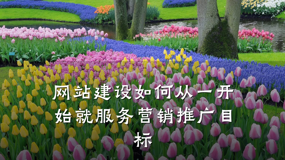 网站建设如何从一开始就服务营销推广目标