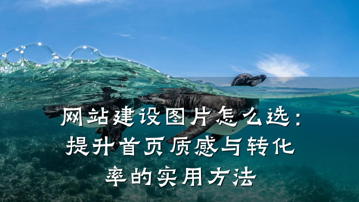 网站建设图片怎么选:提升首页质感与转化率的实用方法