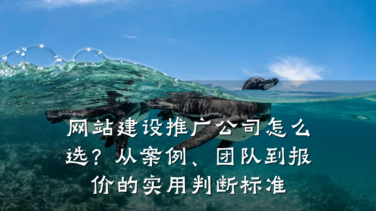 网站建设推广公司怎么选?从案例、团队到报价的实用判断标准