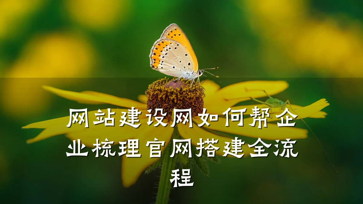 网站建设网如何帮企业梳理官网搭建全流程