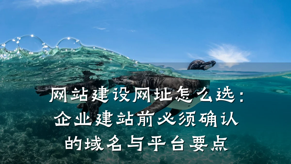 网站建设网址怎么选:企业建站前必须确认的域名与平台要点