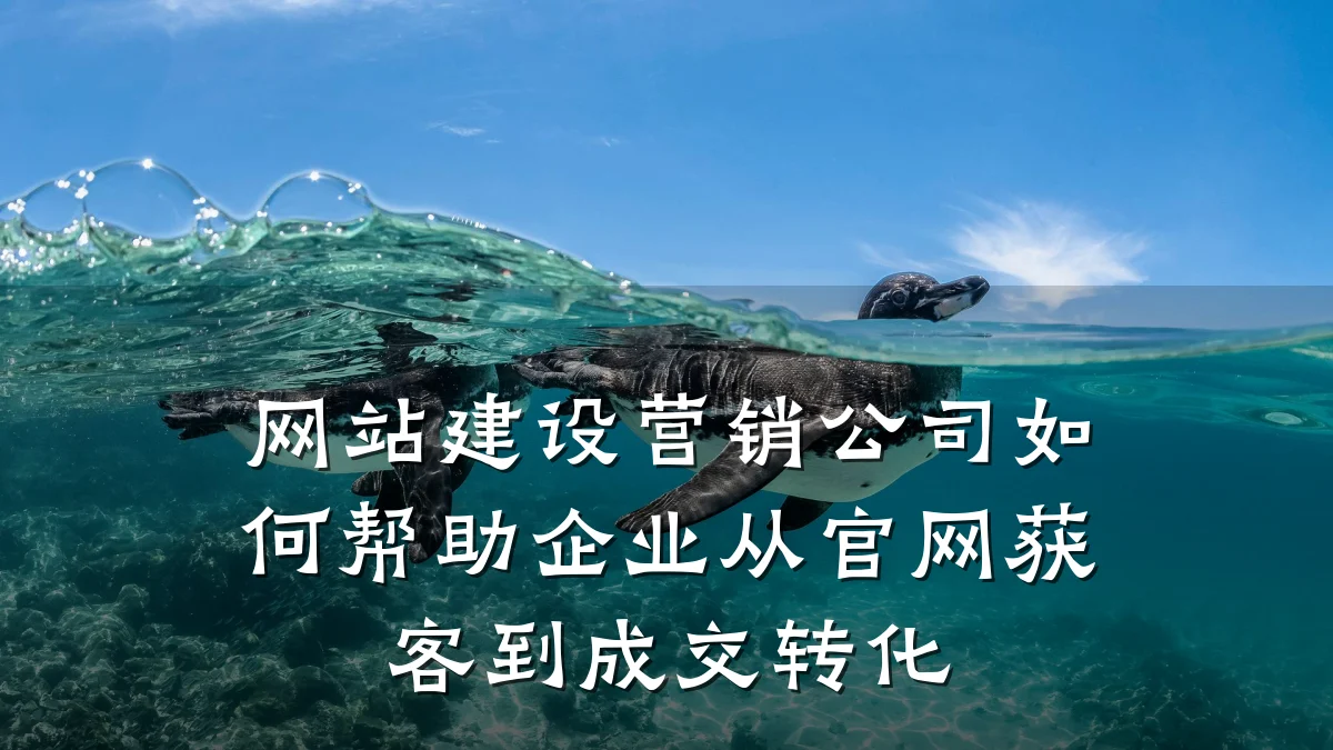 网站建设营销公司如何帮助企业从官网获客到成交转化