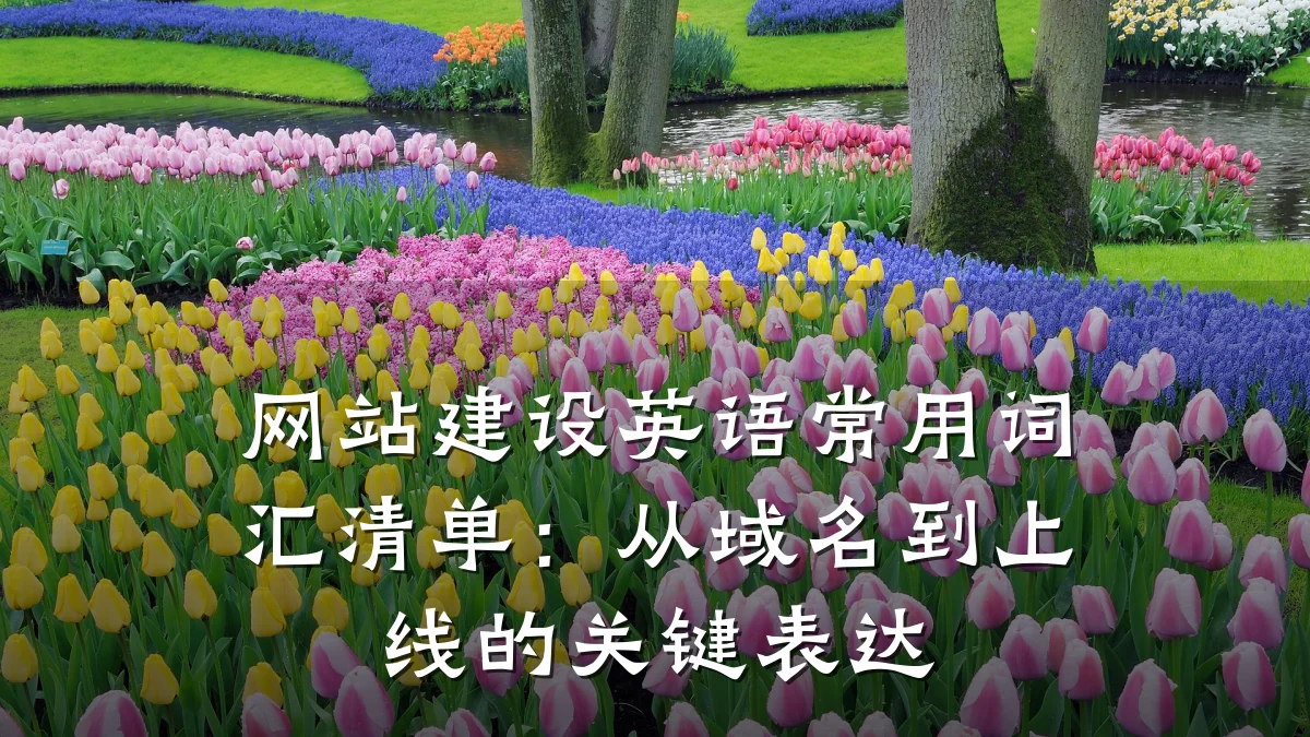 网站建设英语常用词汇清单：从域名到上线的关键表达
