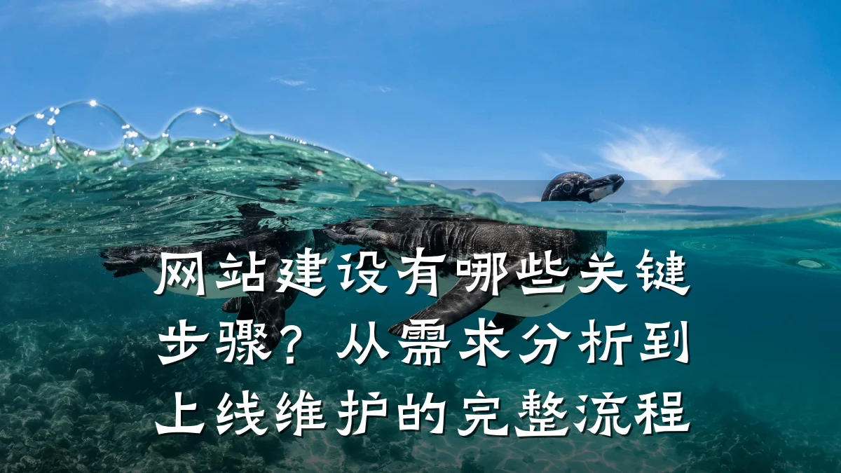 网站建设有哪些关键步骤?从需求分析到上线维护的完整流程