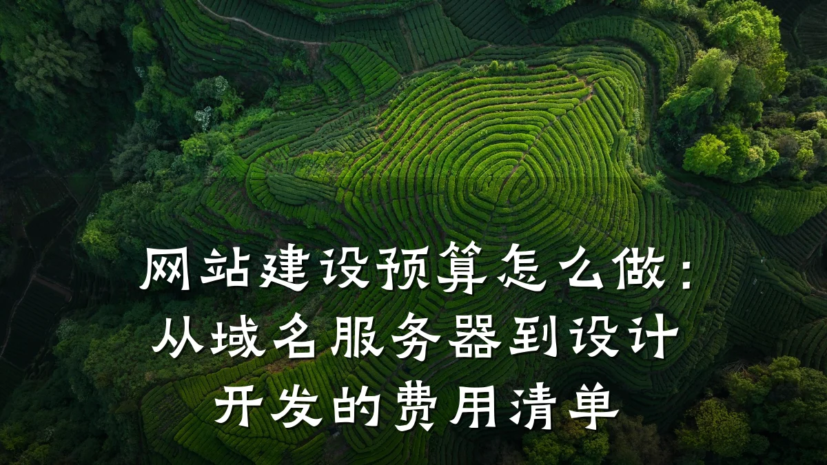 网站建设预算怎么做:从域名服务器到设计开发的费用清单