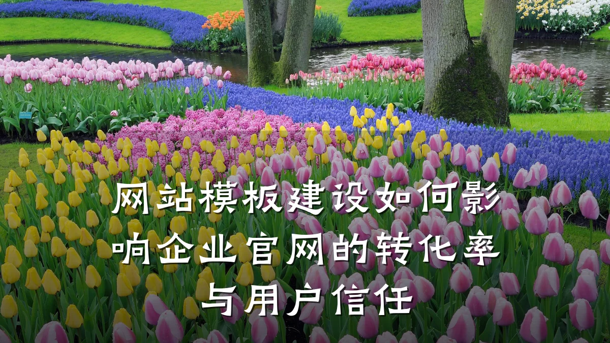 网站模板建设如何影响企业官网的转化率与用户信任