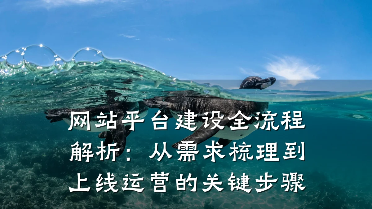网站平台建设全流程解析:从需求梳理到上线运营的关键步骤