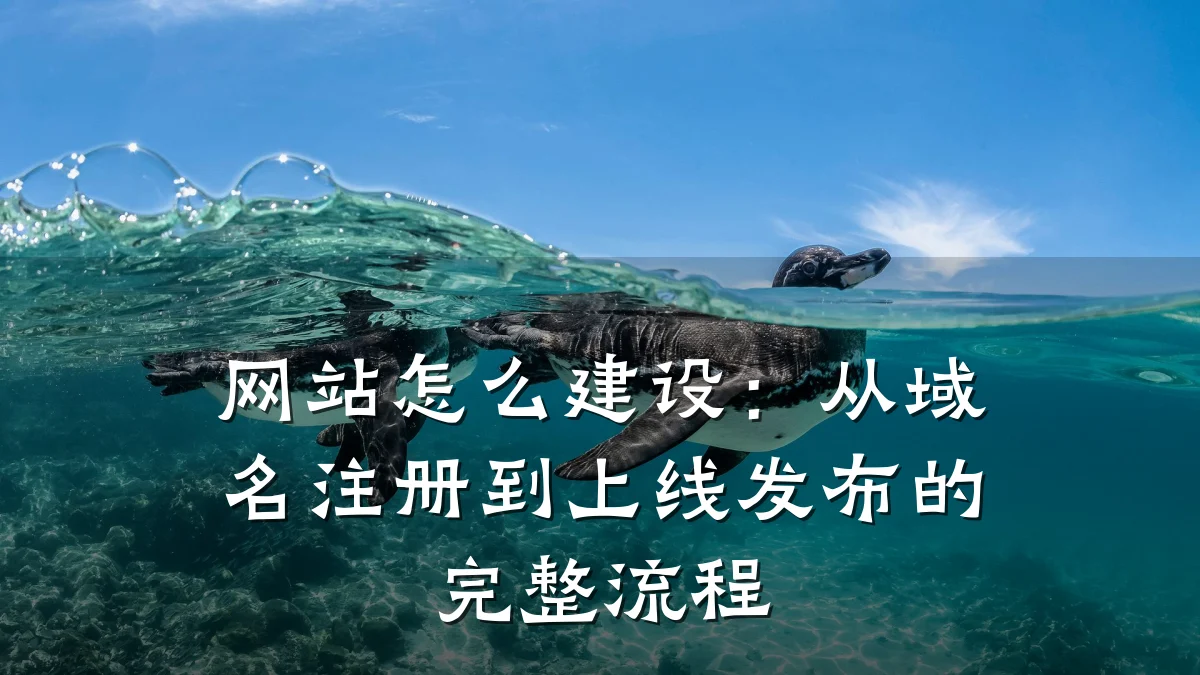网站怎么建设：从域名注册到上线发布的完整流程