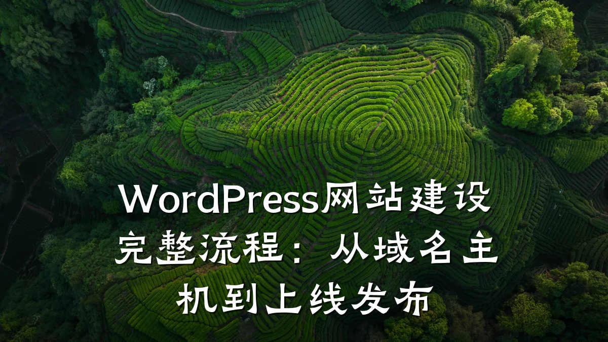 WordPress网站建设完整流程:从域名主机到上线发布