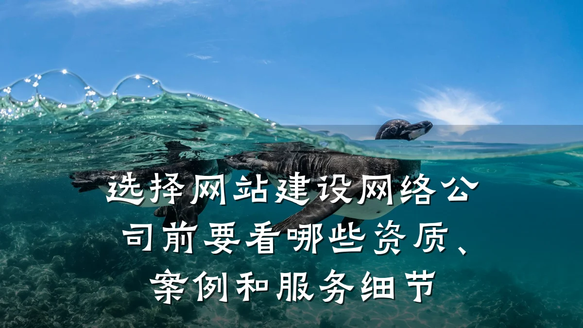 选择网站建设网络公司前要看哪些资质、案例和服务细节