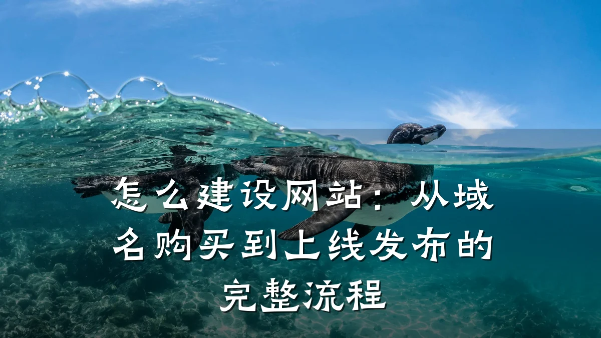 怎么建设网站:从域名购买到上线发布的完整流程