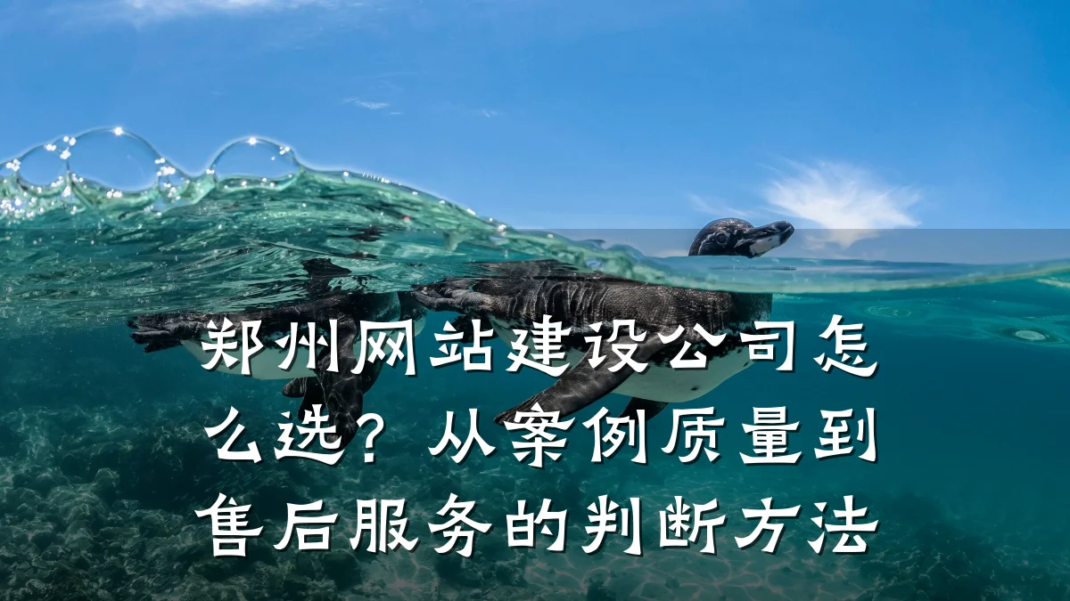 郑州网站建设公司怎么选?从案例质量到售后服务的判断方法