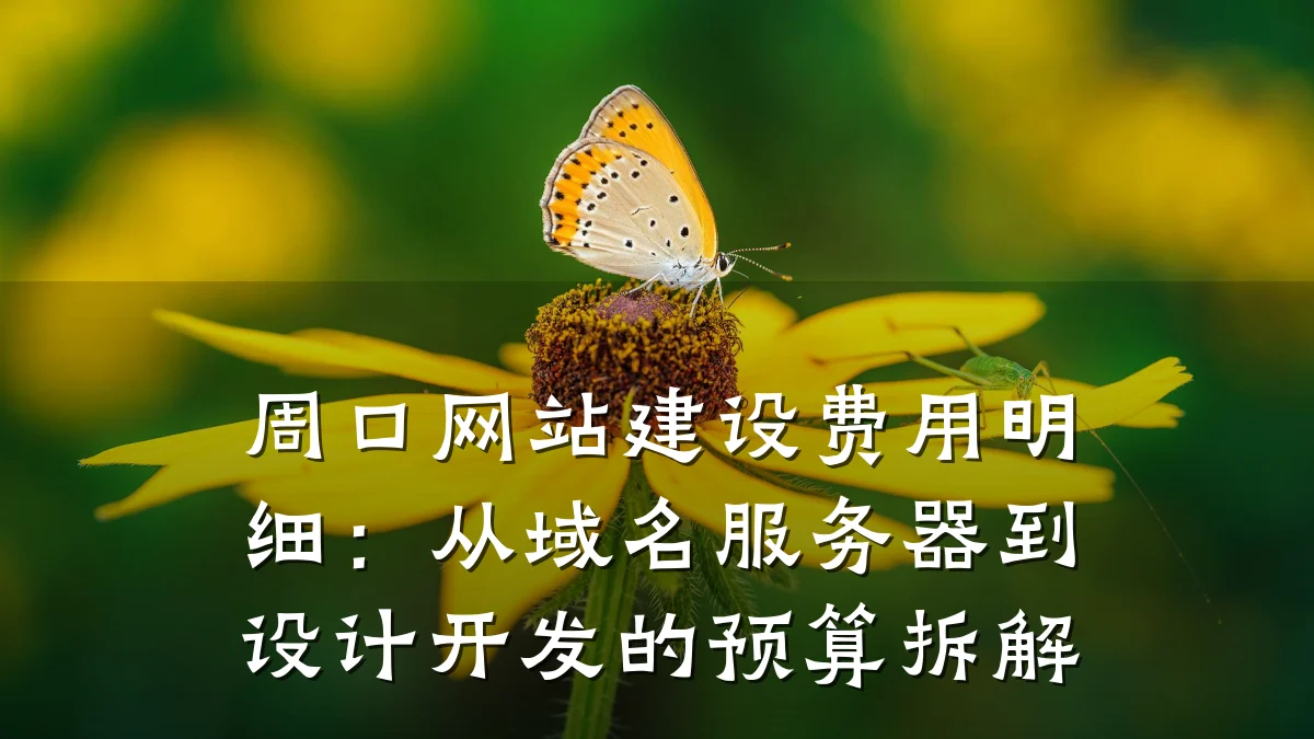周口网站建设费用明细:从域名服务器到设计开发的预算拆解