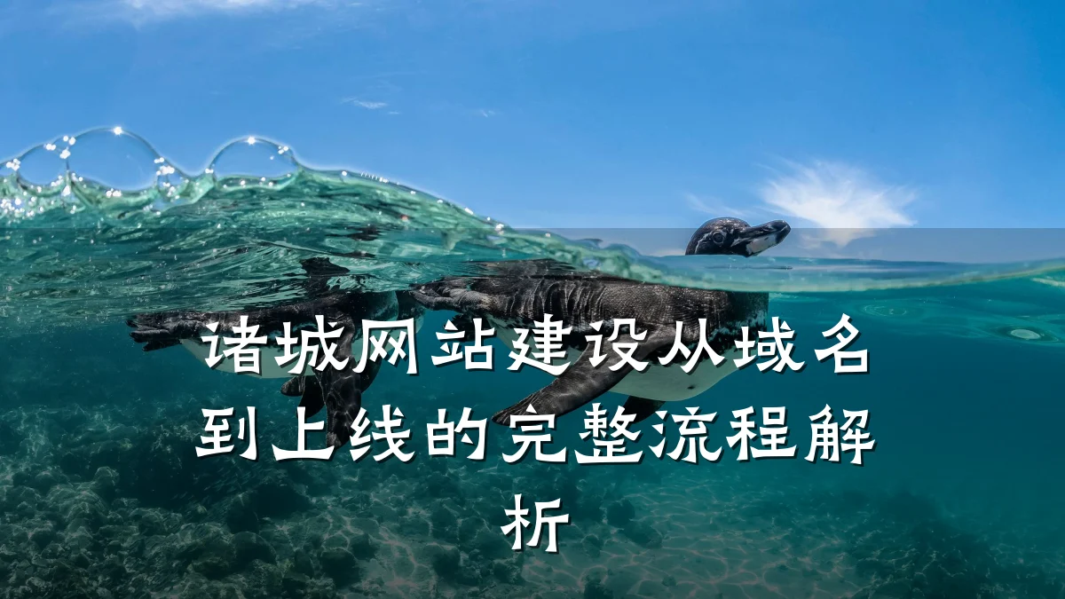诸城网站建设从域名到上线的完整流程解析