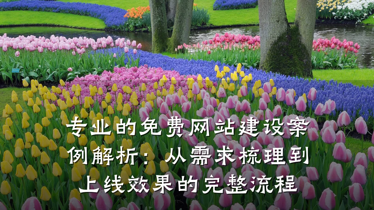 专业的免费网站建设案例解析:从需求梳理到上线效果的完整流程