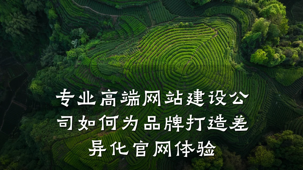 专业高端网站建设公司如何为品牌打造差异化官网体验