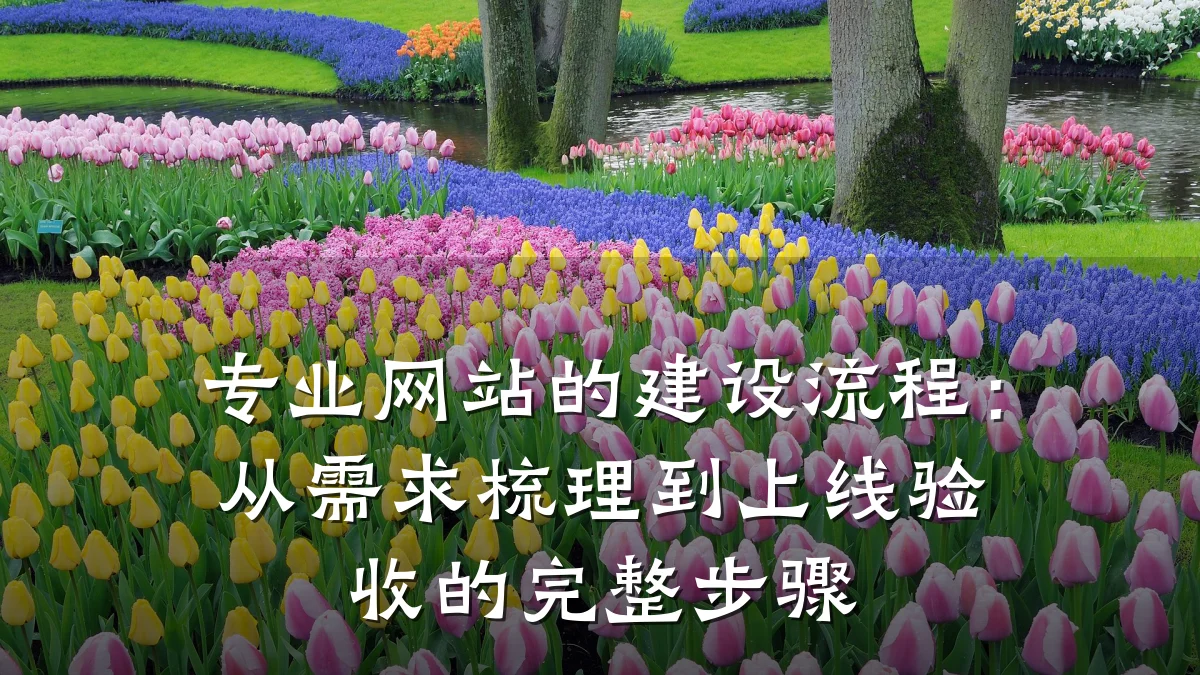 专业网站的建设流程：从需求梳理到上线验收的完整步骤