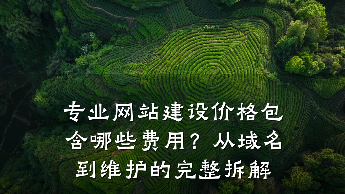 专业网站建设价格包含哪些费用？从域名到维护的完整拆解