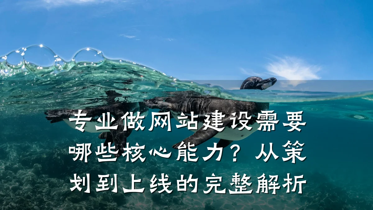 专业做网站建设需要哪些核心能力？从策划到上线的完整解析