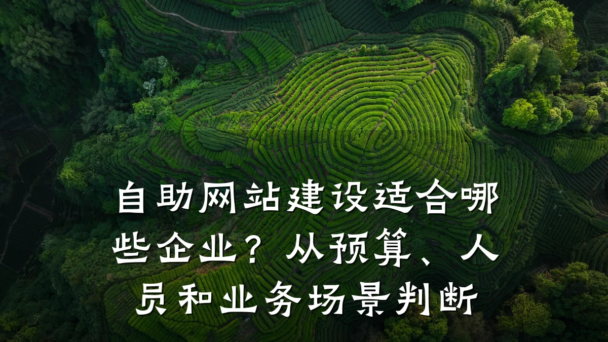 自助网站建设适合哪些企业?从预算、人员和业务场景判断