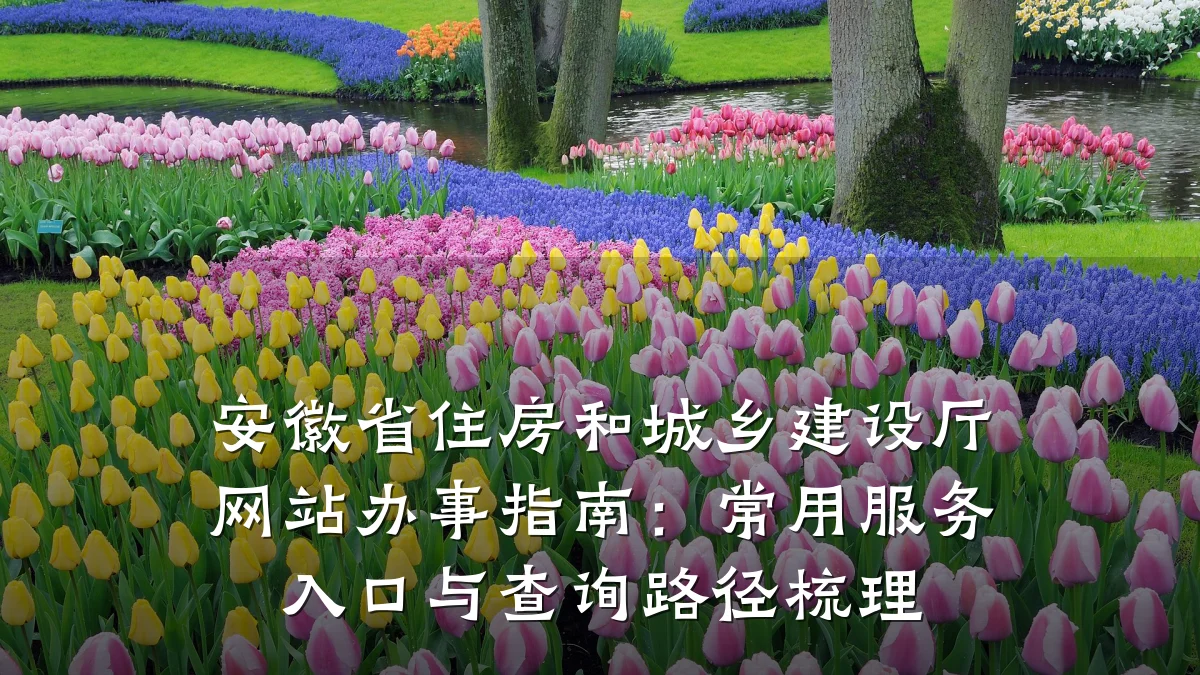 安徽省住房和城乡建设厅网站办事指南：常用服务入口与查询路径梳理