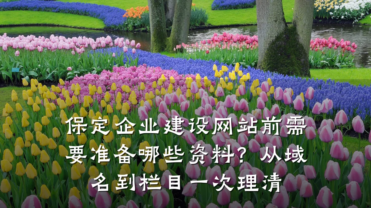 保定企业建设网站前需要准备哪些资料?从域名到栏目一次理清