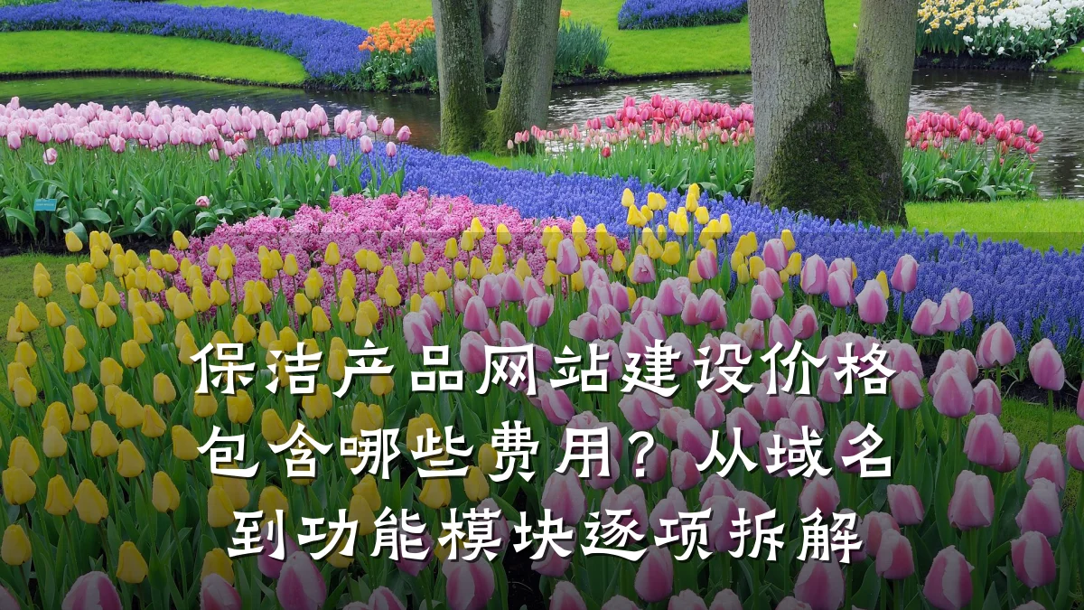 保洁产品网站建设价格包含哪些费用?从域名到功能模块逐项拆解