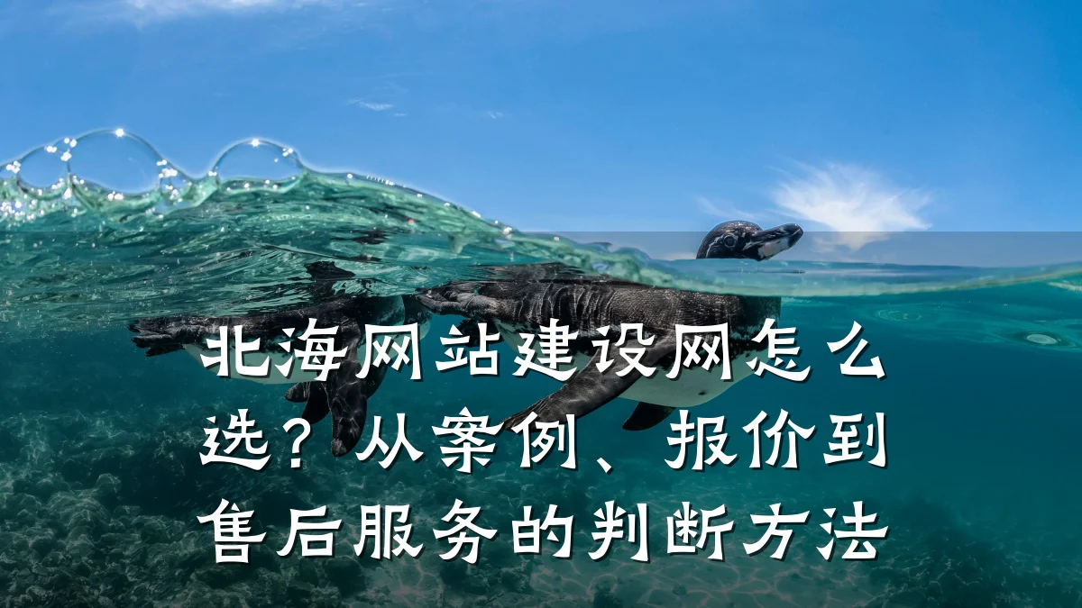 北海网站建设网怎么选?从案例、报价到售后服务的判断方法