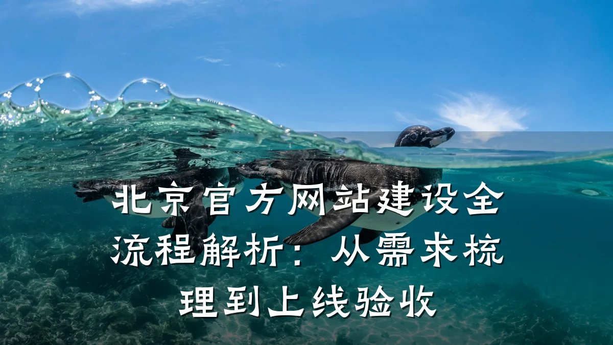 北京官方网站建设全流程解析:从需求梳理到上线验收