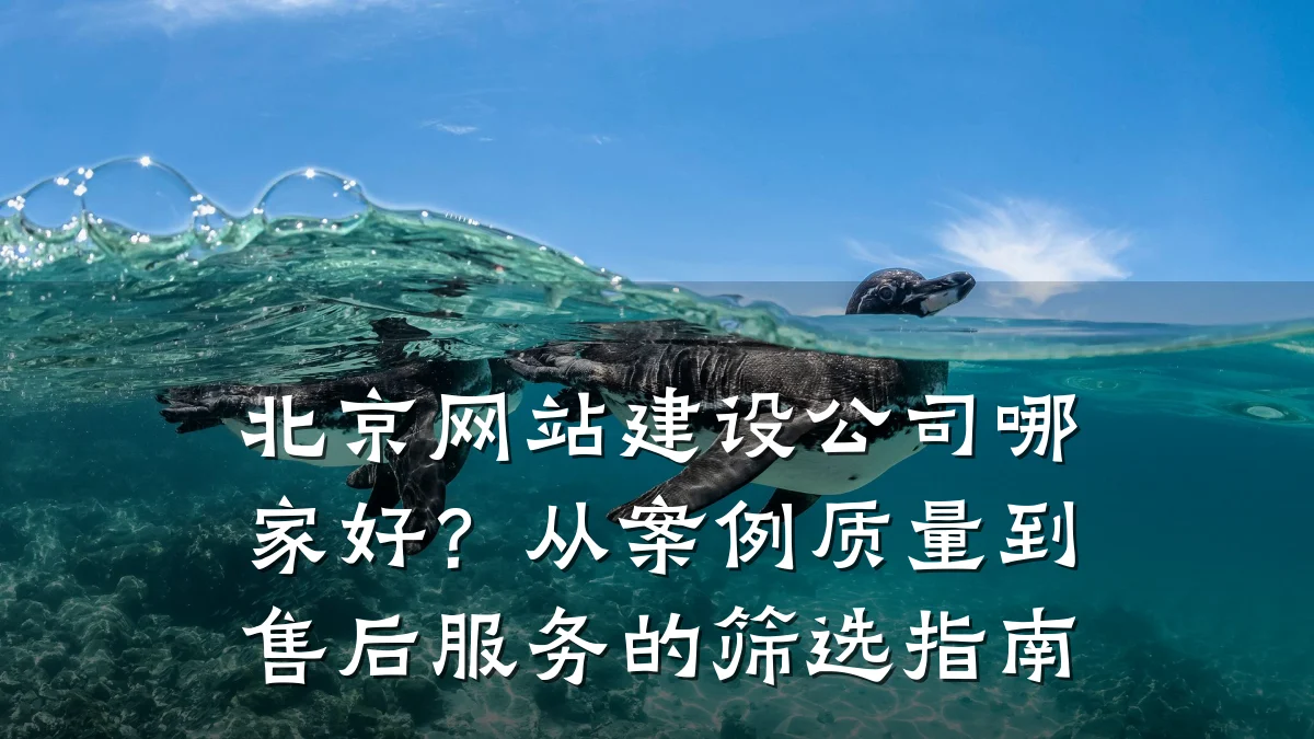 北京网站建设公司哪家好?从案例质量到售后服务的筛选指南
