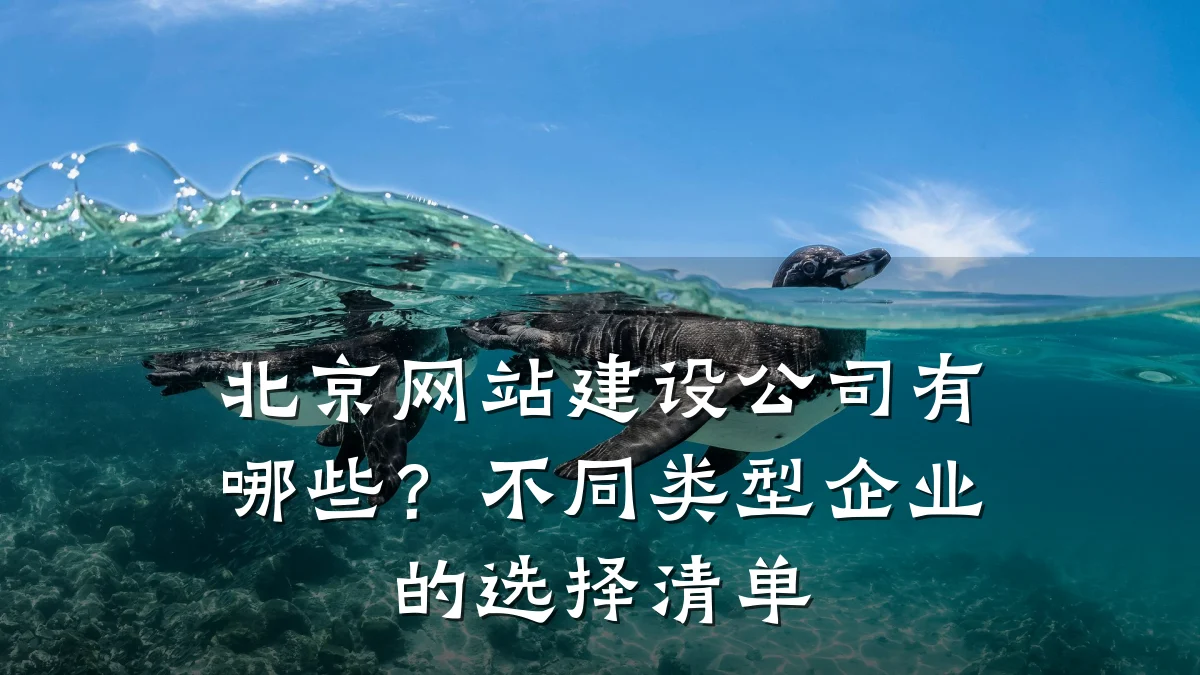 北京网站建设公司有哪些?不同类型企业的选择清单