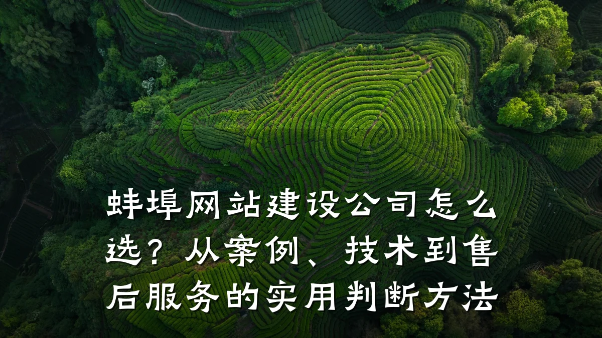 蚌埠网站建设公司怎么选?从案例、技术到售后服务的实用判断方法
