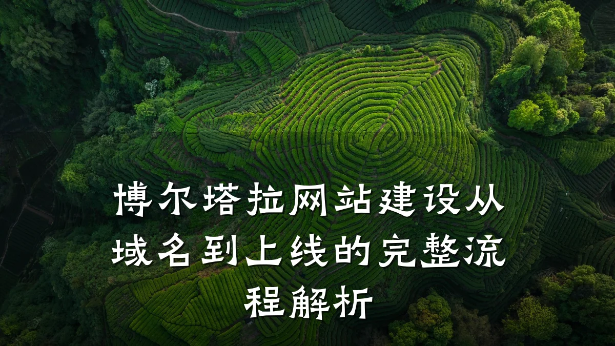 博尔塔拉网站建设从域名到上线的完整流程解析