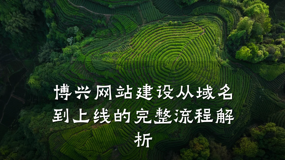 博兴网站建设从域名到上线的完整流程解析