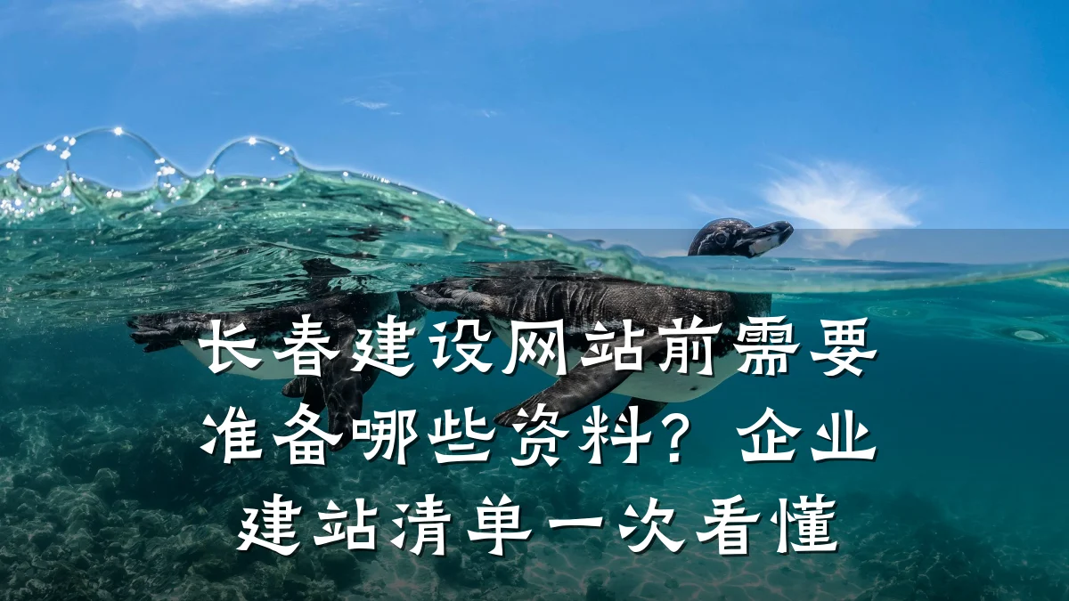 长春建设网站前需要准备哪些资料?企业建站清单一次看懂