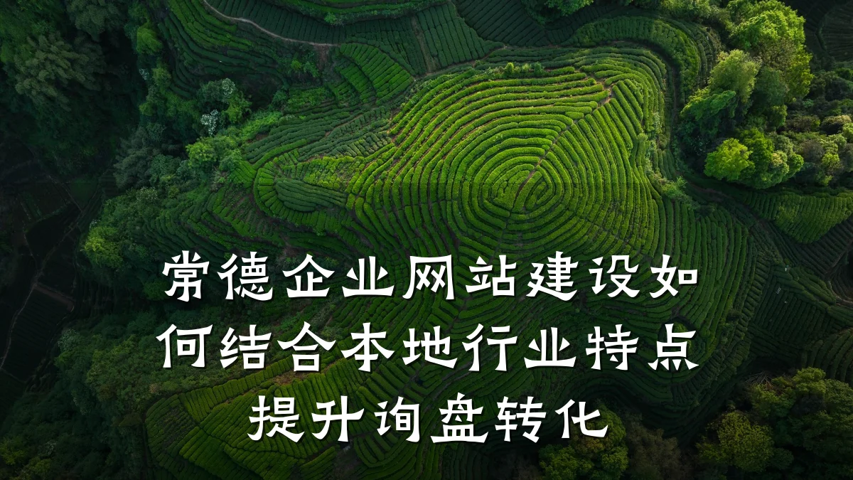 常德企业网站建设如何结合本地行业特点提升询盘转化