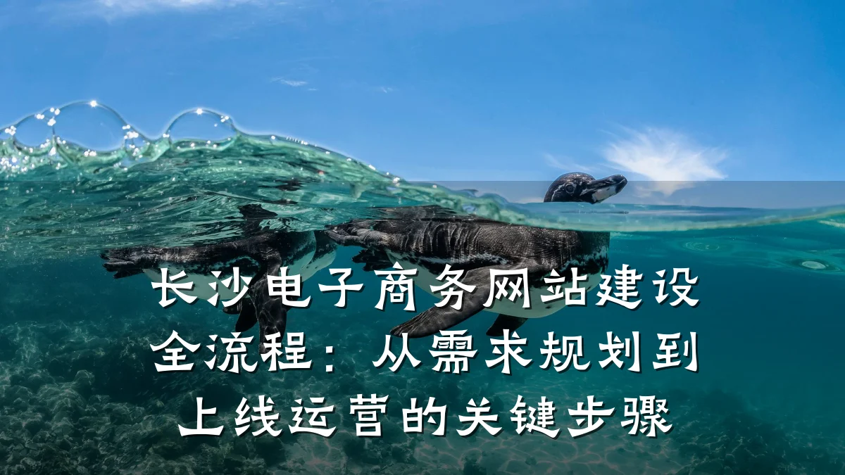 长沙电子商务网站建设全流程:从需求规划到上线运营的关键步骤