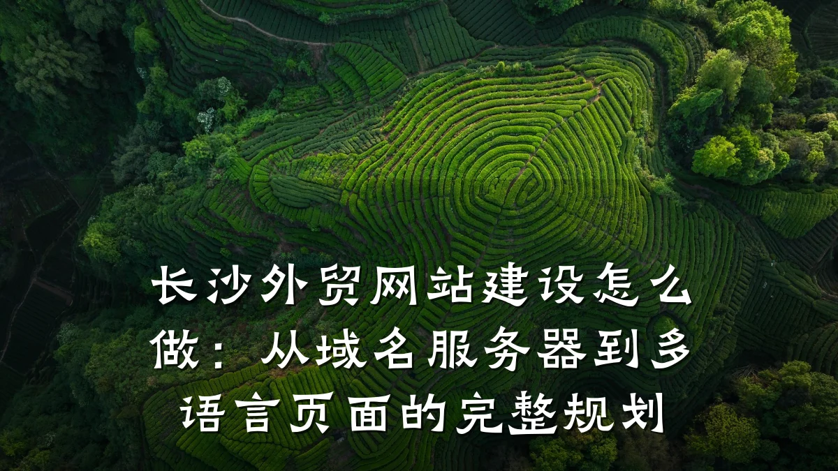 长沙外贸网站建设怎么做:从域名服务器到多语言页面的完整规划
