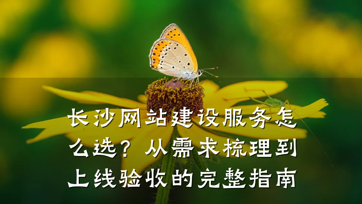 长沙网站建设服务怎么选?从需求梳理到上线验收的完整指南