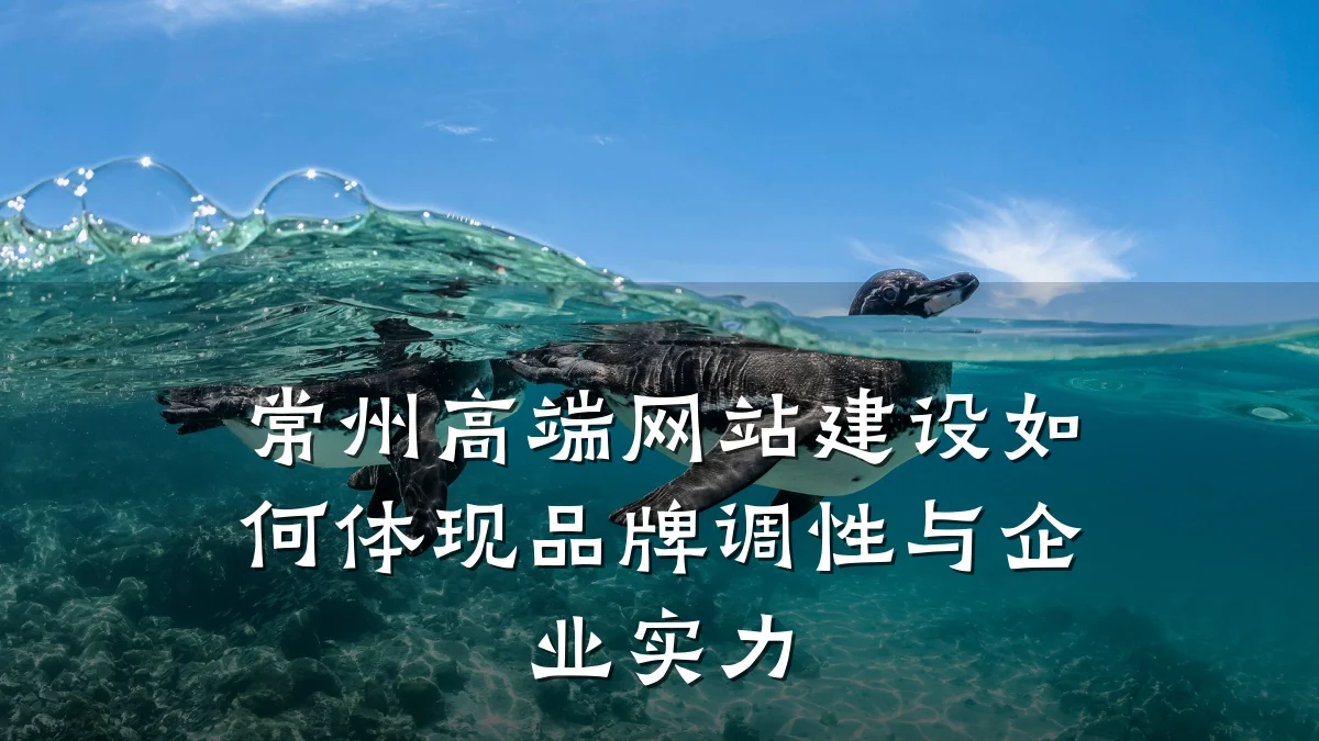 常州高端网站建设如何体现品牌调性与企业实力