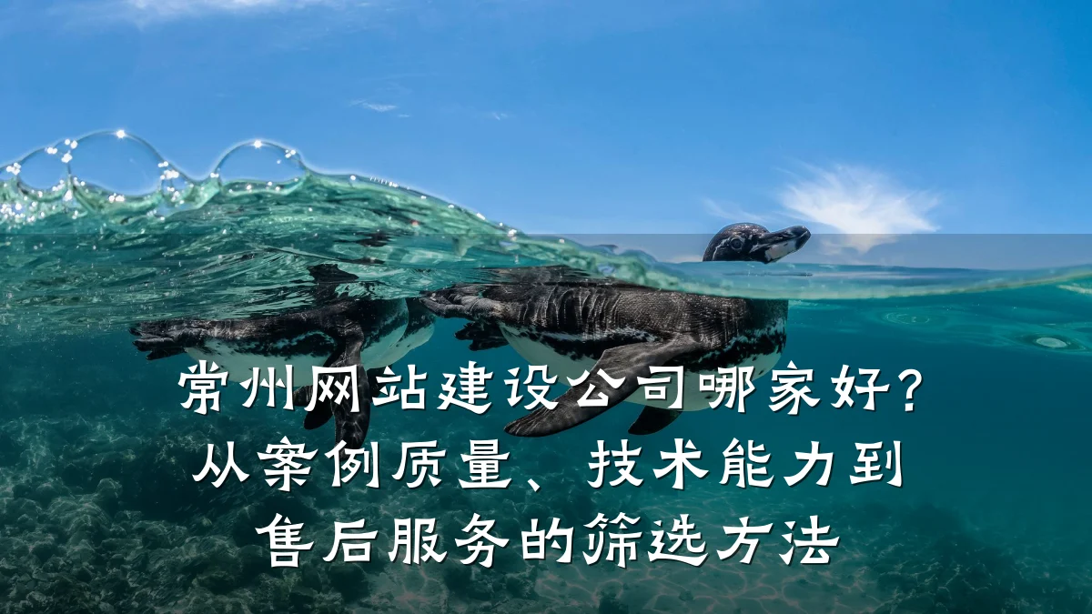常州网站建设公司哪家好？从案例质量、技术能力到售后服务的筛选方法
