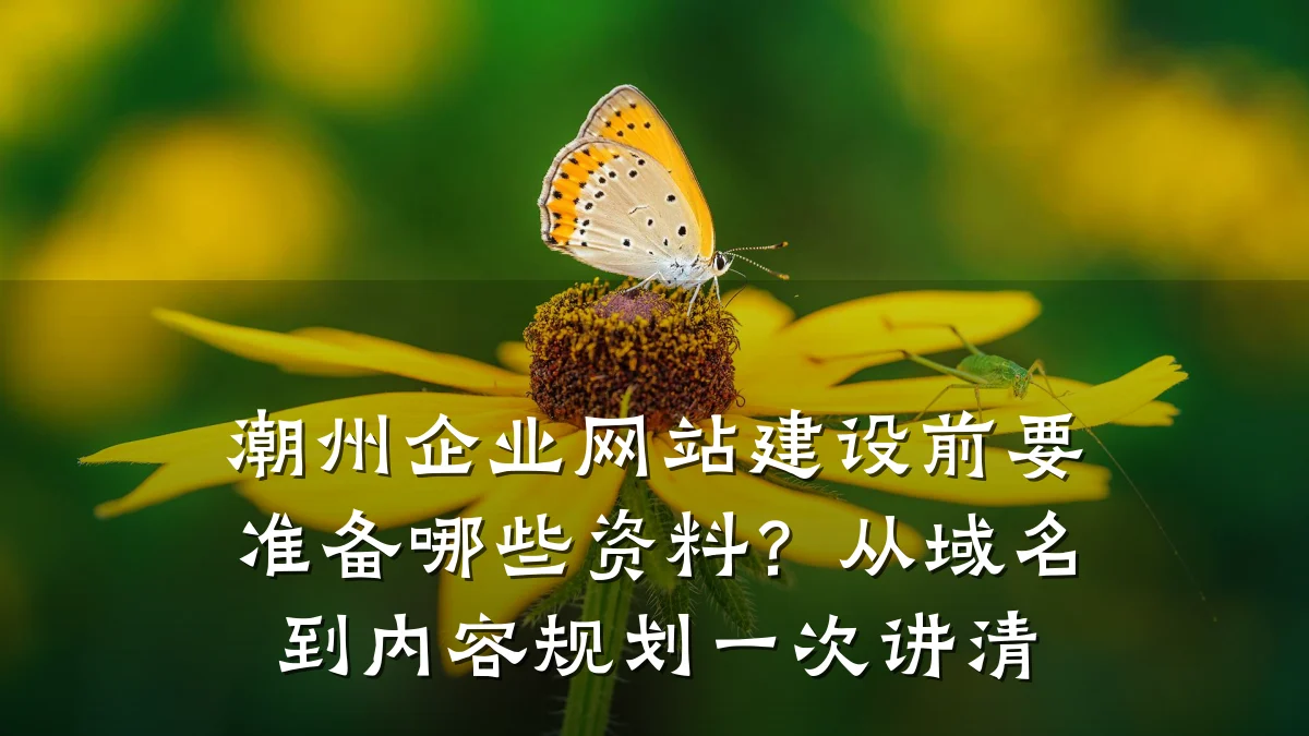 潮州企业网站建设前要准备哪些资料?从域名到内容规划一次讲清