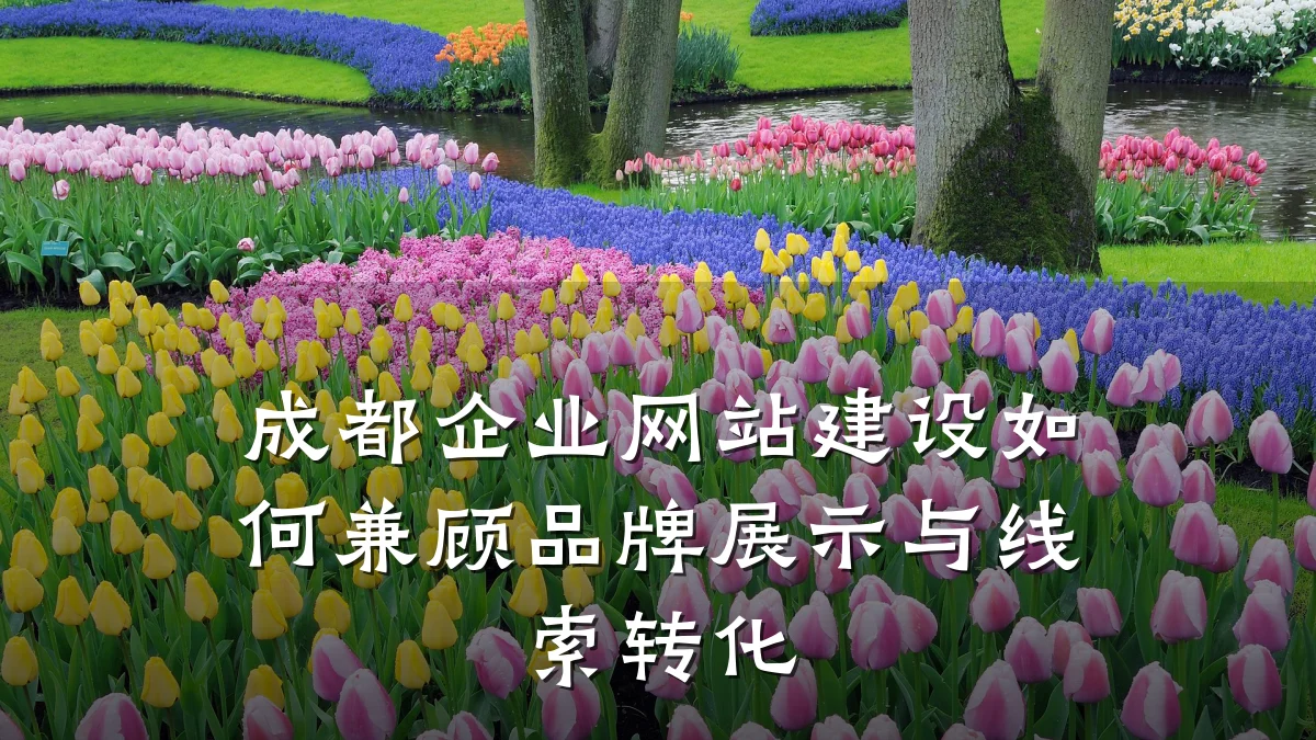 成都企业网站建设如何兼顾品牌展示与线索转化