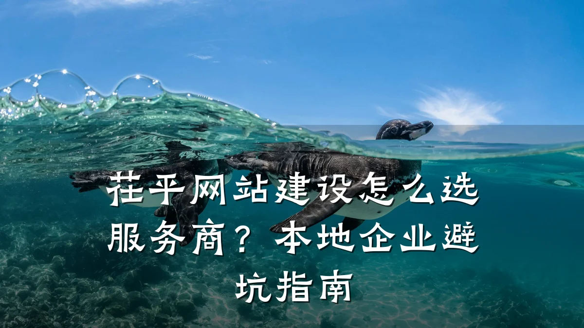 茌平网站建设怎么选服务商?本地企业避坑指南