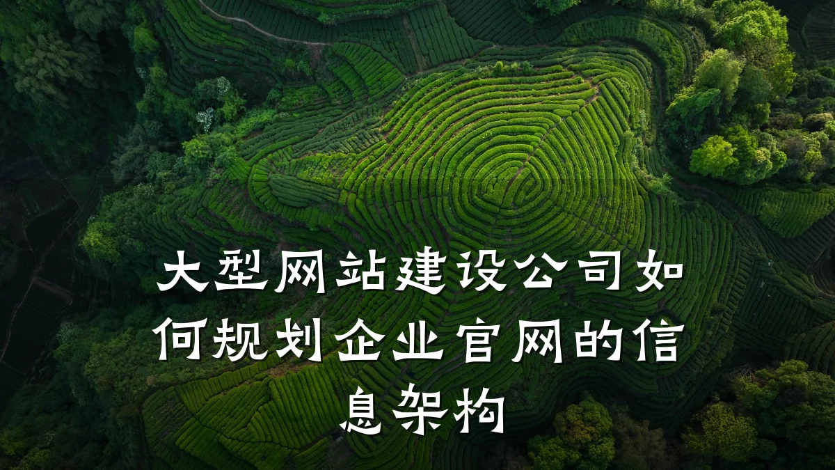 大型网站建设公司如何规划企业官网的信息架构