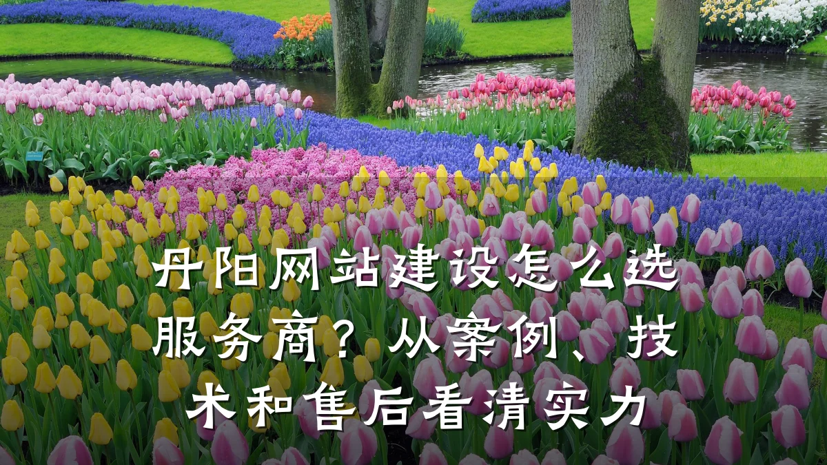 丹阳网站建设怎么选服务商?从案例、技术和售后看清实力