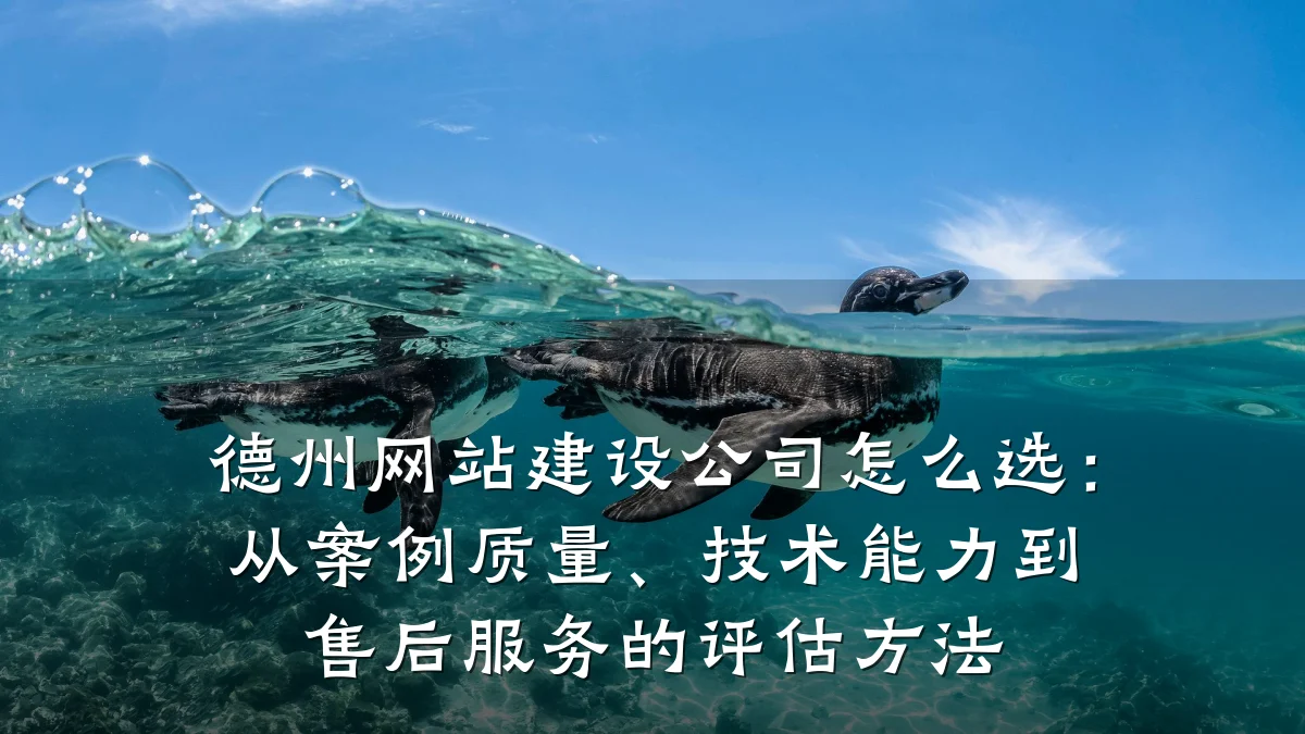 德州网站建设公司怎么选:从案例质量、技术能力到售后服务的评估方法
