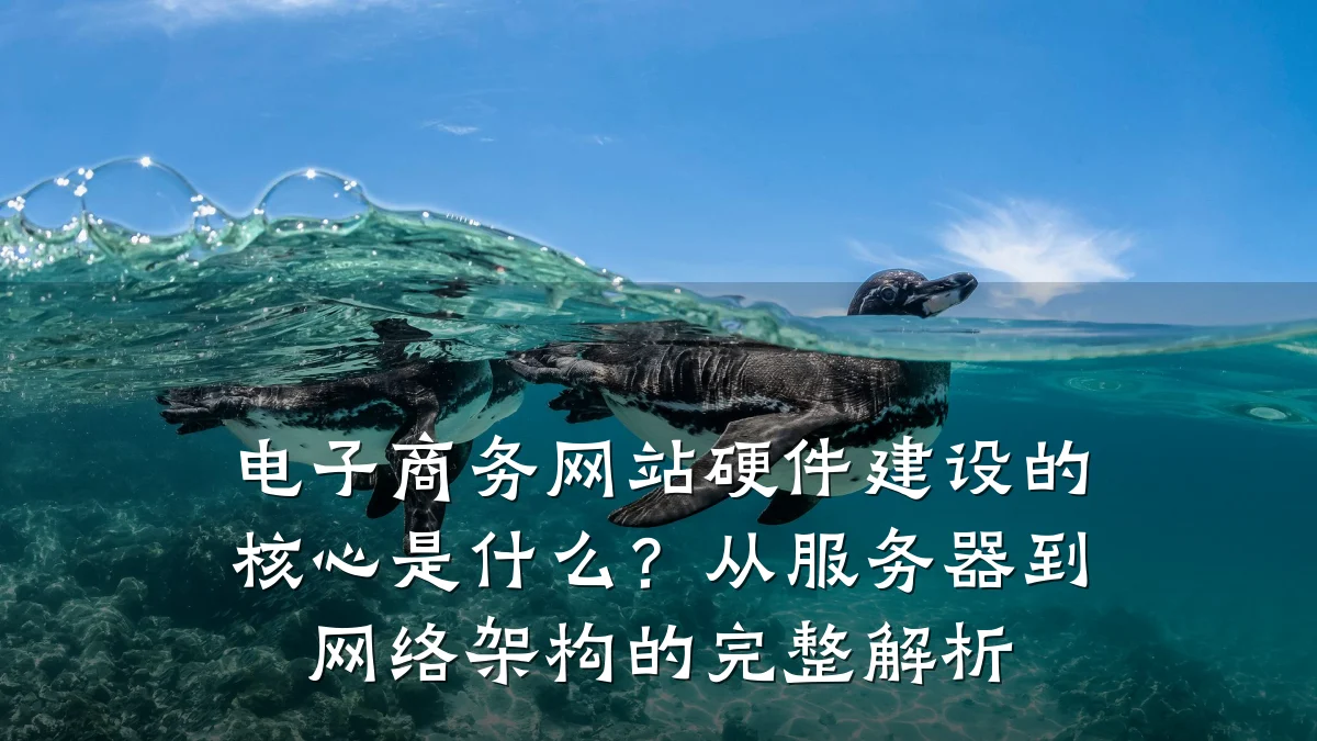 电子商务网站硬件建设的核心是什么？从服务器到网络架构的完整解析